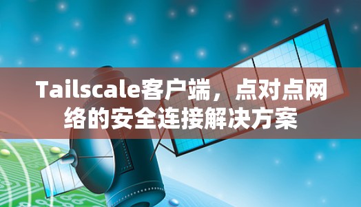 Tailscale客户端,点对点网络的安全连接解决方案 Tailscale客户端,点对点网络的安全连接解决方案