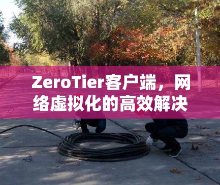 ZeroTier客户端，网络虚拟化的高效解决方案