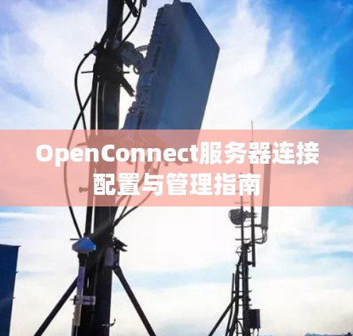 OpenConnect服务器连接配置与管理指南