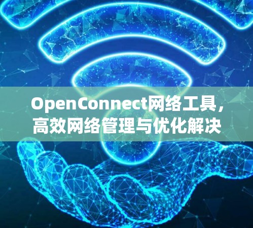 OpenConnect网络工具,高效网络管理与优化解决方案 OpenConnect网络工具,高效网络管理与优化解决方案