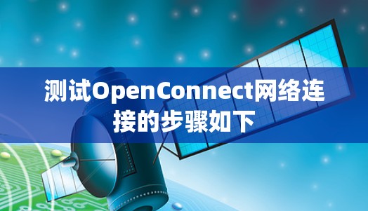 测试OpenConnect网络连接的步骤如下 测试OpenConnect网络连接的步骤如下