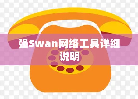强Swan网络工具详细说明