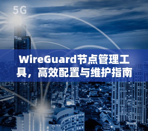WireGuard节点管理工具，高效配置与维护指南