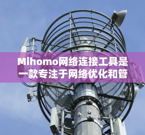 Mihomo网络连接工具是一款专注于网络优化和管理的解决方案,旨在帮助用户提升网络性能和安全性。以下是Mihomo网络连接工具的主要功能和特点 Mihomo网络连接工具是一款专注于网络优化和管理的解决方案,旨在帮助用户提升网络性能和安全性。以下是Mihomo网络连接工具的主要功能和特点