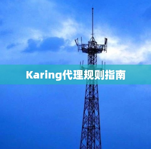 Karing代理规则指南
