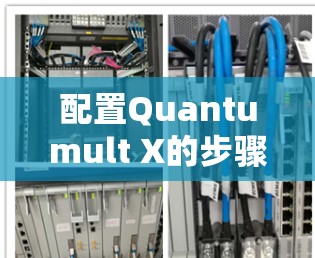 配置Quantumult X的步骤如下