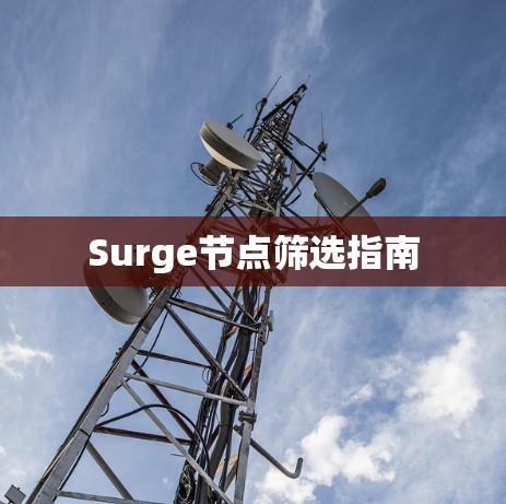 Surge节点筛选指南