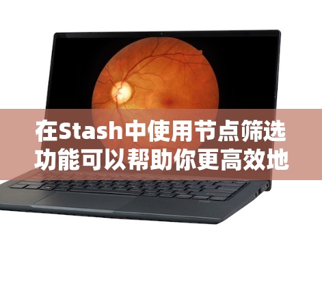 在Stash中使用节点筛选功能可以帮助你更高效地找到符合需求的节点。以下是分步骤的指南