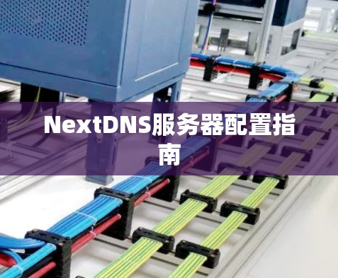 NextDNS服务器配置指南