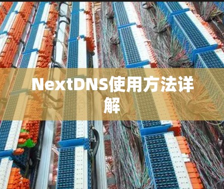 NextDNS使用方法详解