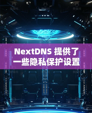 NextDNS 提供了一些隐私保护设置，帮助用户更好地保护数据和隐私。以下是一些常见的隐私设置和配置建议