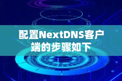 配置NextDNS客户端的步骤如下