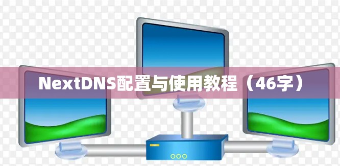 NextDNS配置与使用教程（46字）