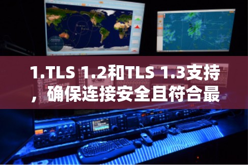 1.TLS 1.2和TLS 1.3支持，确保连接安全且符合最新的安全标准