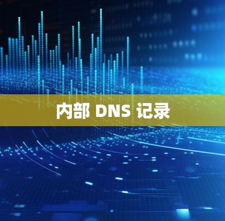内部 DNS 记录