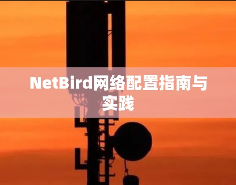 NetBird网络配置指南与实践 NetBird网络配置指南与实践