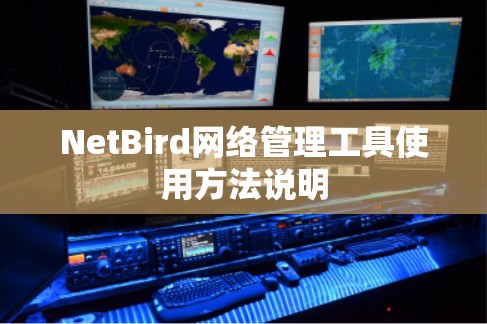 NetBird网络管理工具使用方法说明