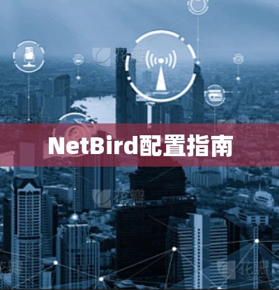 NetBird配置指南 NetBird配置指南