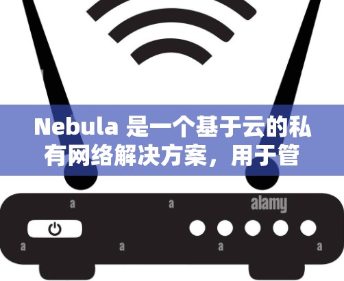 Nebula 是一个基于云的私有网络解决方案，用于管理和安全地访问内部网络资源。以下是设置 Nebula 服务器的分步指南