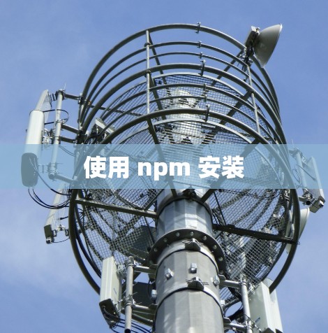 使用 npm 安装