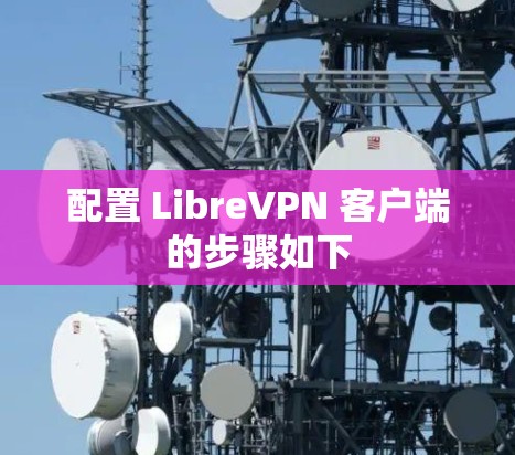 配置 LibreVPN 客户端的步骤如下