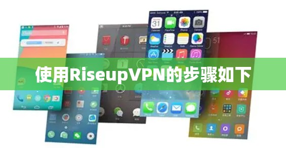 使用RiseupVPN的步骤如下