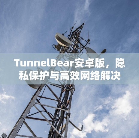 TunnelBear安卓版，隐私保护与高效网络解决方案