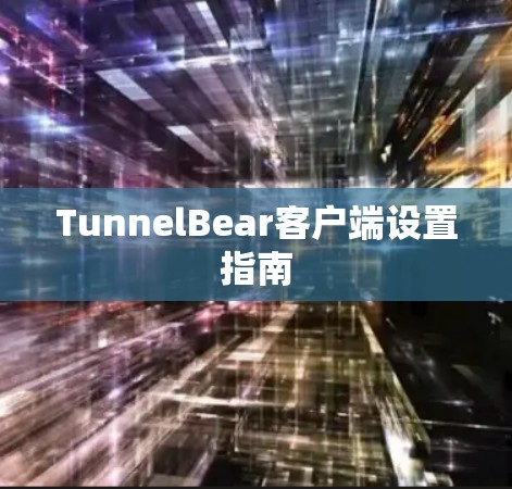 TunnelBear客户端设置指南
