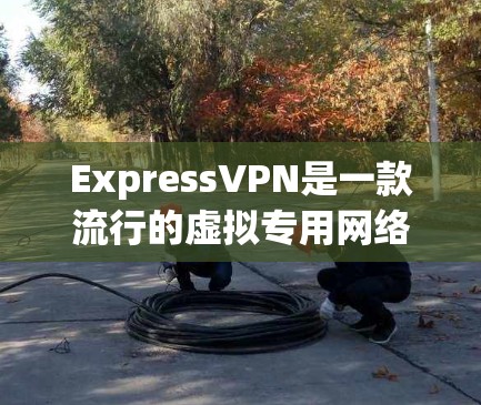 ExpressVPN是一款流行的虚拟专用网络（VPN）服务，旨在保护用户的隐私和安全，提供匿名上网和加密通信的功能。以下是使用ExpressVPN的基本步骤