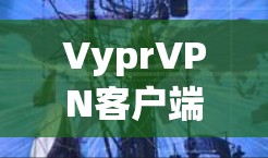 VyprVPN客户端设置指南