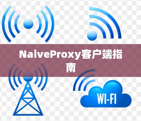 NaiveProxy客户端指南