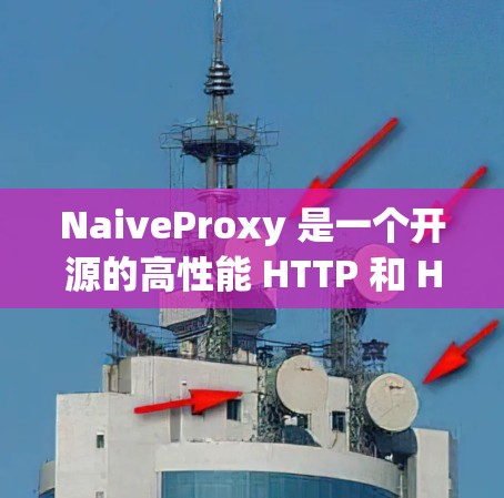 NaiveProxy 是一个开源的高性能 HTTP 和 HTTPS 代理服务器，常用于反向代理、负载均衡、访问控制等场景。以下是配置 NaiveProxy 服务器的一些常见步骤和示例