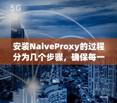 安装NaiveProxy的过程分为几个步骤，确保每一步都正确执行以避免问题。以下是详细的步骤指南