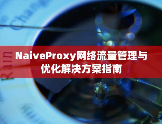 NaiveProxy网络流量管理与优化解决方案指南