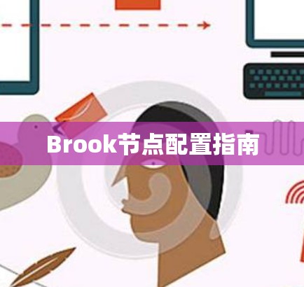 Brook节点配置指南