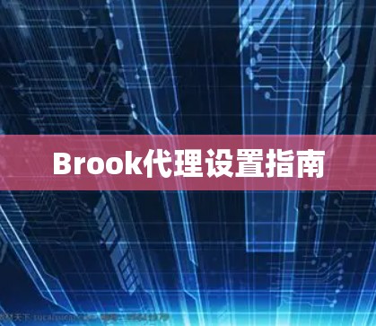 Brook代理设置指南