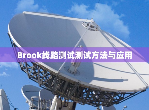 Brook线路测试测试方法与应用