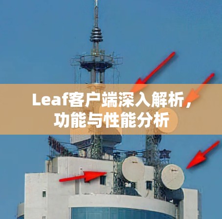 Leaf客户端深入解析，功能与性能分析