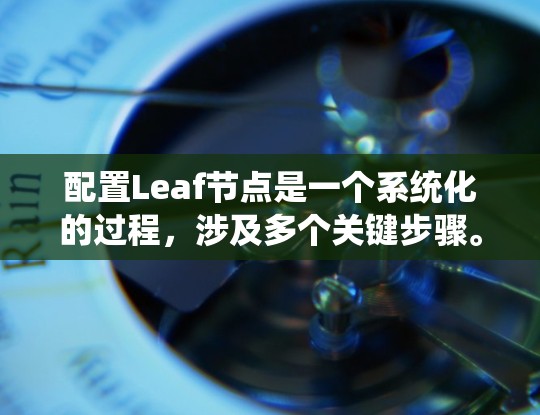 配置Leaf节点是一个系统化的过程，涉及多个关键步骤。以下是详细的步骤指南