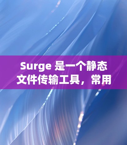 Surge 是一个静态文件传输工具，常用于开发者快速测试和部署。对于 Mac 用户，以下是一些获取 Surge 的方法