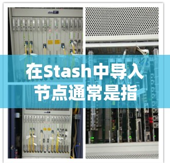 在Stash中导入节点通常是指将外部数据或内容导入到Stash的知识库中,以便管理和检索。以下是常见的导入节点的步骤和方法 在Stash中导入节点通常是指将外部数据或内容导入到Stash的知识库中,以便管理和检索。以下是常见的导入节点的步骤和方法