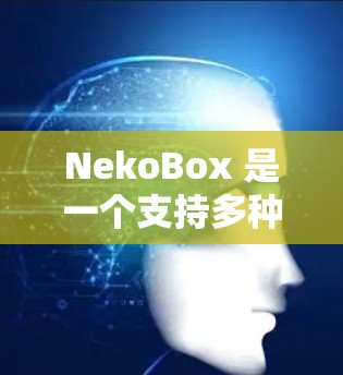 NekoBox 是一个支持多种媒体格式的播放器，用户可以在安卓设备上安装并使用。以下是安装 NekoBox 在安卓设备上的详细步骤