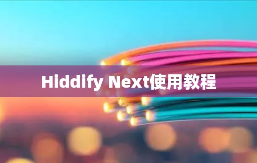 Hiddify Next使用教程