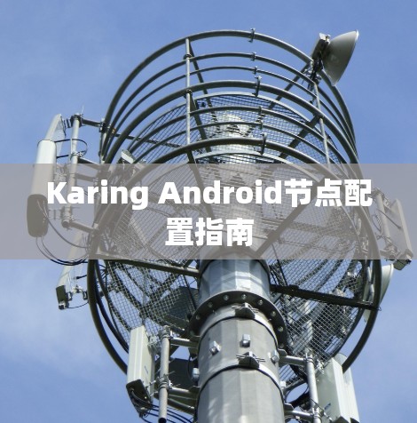 Karing Android节点配置指南