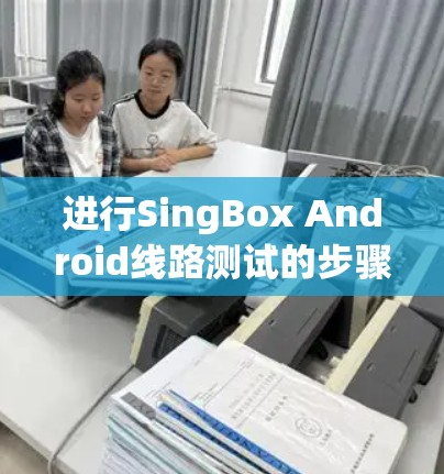 进行SingBox Android线路测试的步骤如下