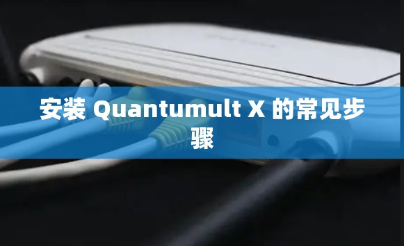 安装 Quantumult X 的常见步骤