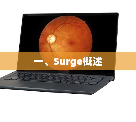 一、Surge概述