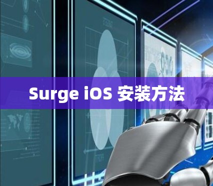 Surge iOS 安装方法