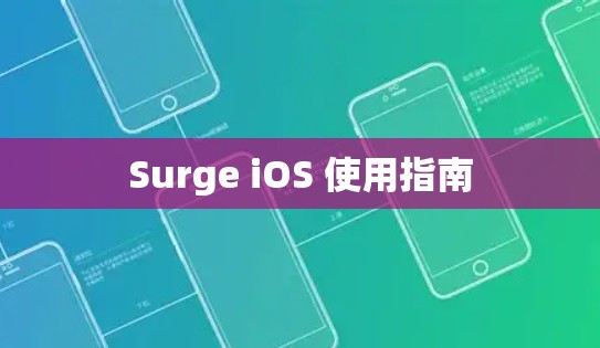 Surge iOS 使用指南