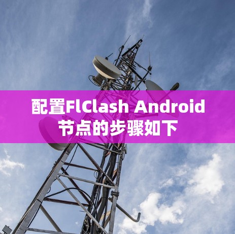 配置FlClash Android节点的步骤如下